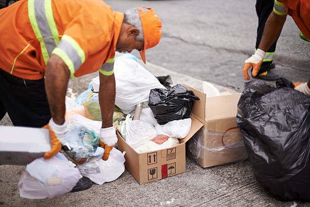 Best Hoarding Cleanup  in Vaeboro, NC